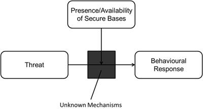 Frontiers Cultural Attachment From Behavior to Computational